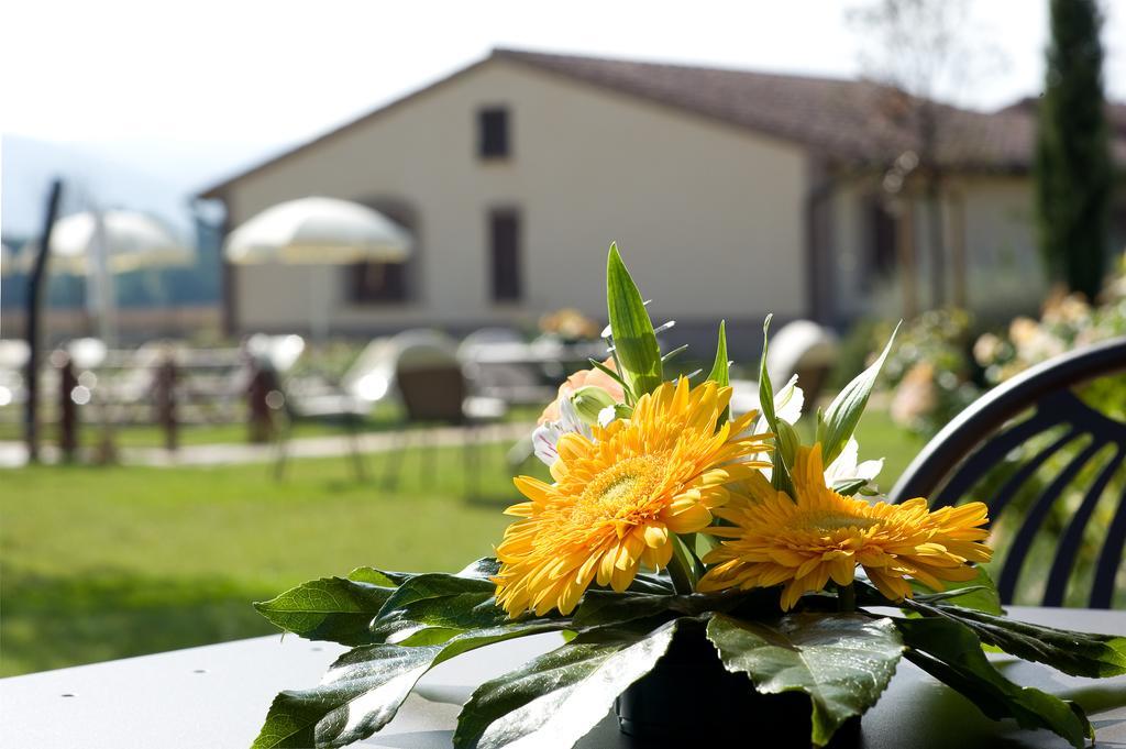 Agriturismo Le Rondini Di Francesco Di Assisi Cannara Exterior photo